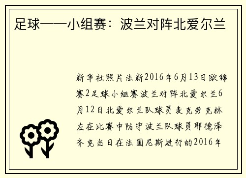 足球——小组赛：波兰对阵北爱尔兰