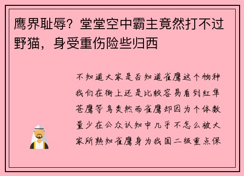鹰界耻辱？堂堂空中霸主竟然打不过野猫，身受重伤险些归西